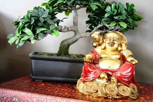 Fericirea și bunăstarea în casa de feng shui