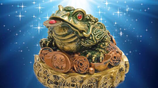 Toad cu trei ani