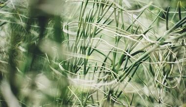 Cum să faci o amuletă de noroc cu propriile mâini