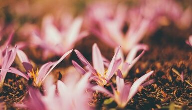 cum să faci o amuletă de noroc cu propriile mâini